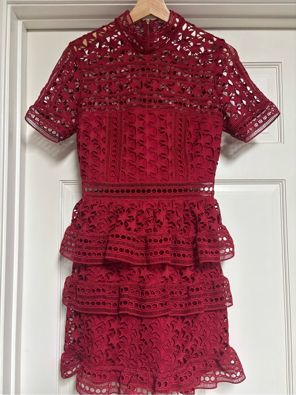 Self-Portrait Red Star lace Zip-Back Dress